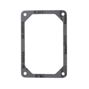 VENTILDKSEL PAKNING BRIGGS & STRATTON  ORG. 272475