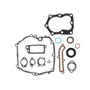 BRIGGS & STRATTON PAKNINGSST   493263