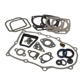 BRIGGS & STRATTON PAKNINGSST  841188