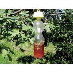 KOLOGISK INSEKTFLDE   (5 STK.)