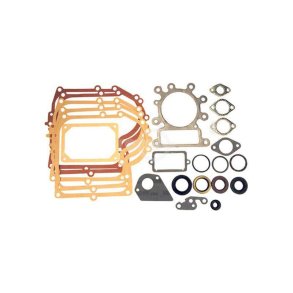BRIGGS & STRATTON PAKNINGSST 691580