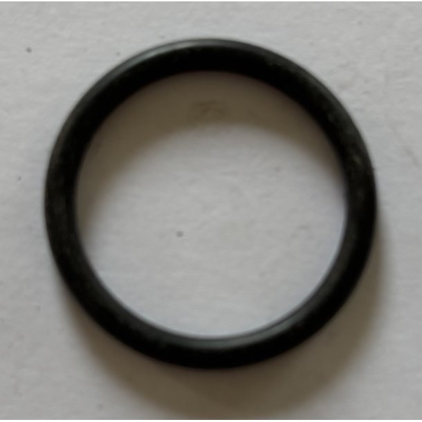 *INDSUG.O-RING B&S 280393