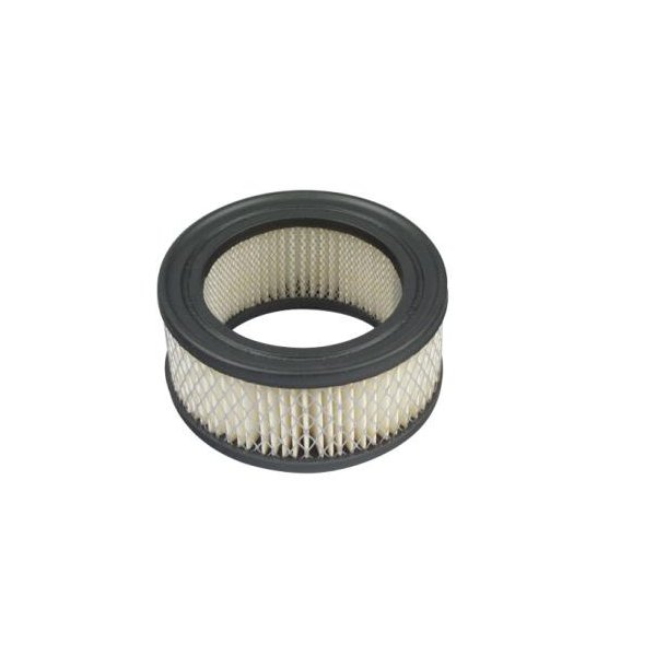 LUFTFILTER BRIGGS &amp; STRATTON 392286 FOR RANSOMES M. FL. 