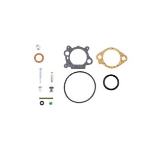 KARB. REP .ST BRIGGS & STRATTON   QUANTUM  ORG. 492495, 2058 060 M. FL.  FOR WOLF M. FL. 