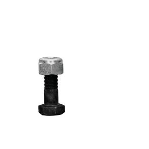 BOLT MED LSEMTRIK M10 x 1,00 x 30 mm (10 STK)