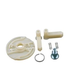 REP.ST  ROBIN ORG.   270-50125-08 