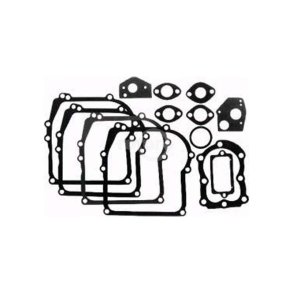 BRIGGS & STRATTON PAKNINGSST   297275, 495602 M. FL.