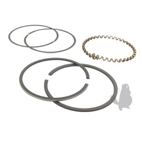 RINGST 030 KOHLER 235892