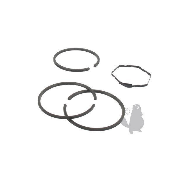 RINGS�T STD TEC 28986 +FL