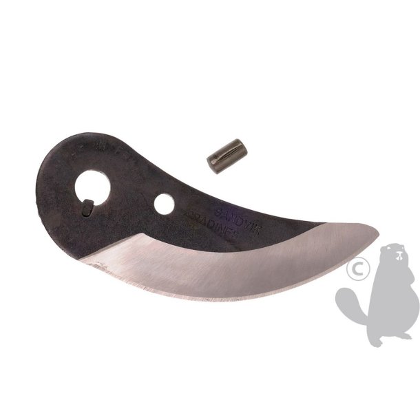 SK�R R122PG