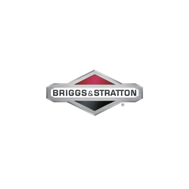 BRIGGS &amp; STRATTON  SVMMERHUS PAKNING  698538